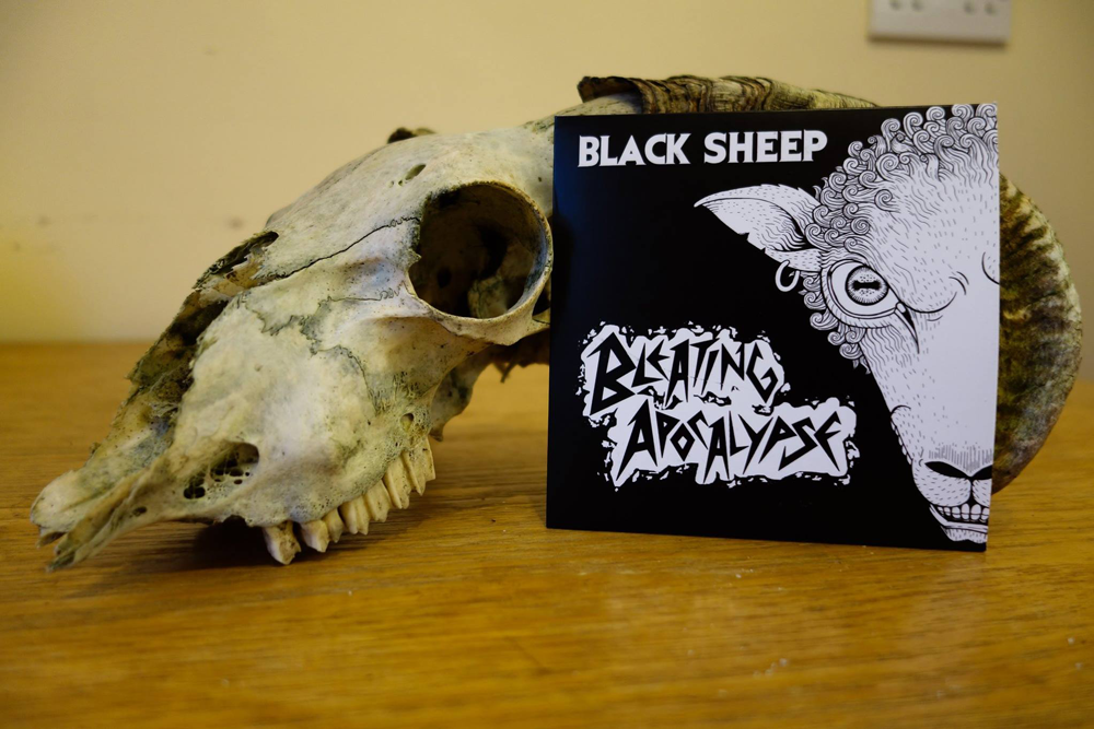 a picture of bleeting apocalypse album black sheep resting on a ram skull